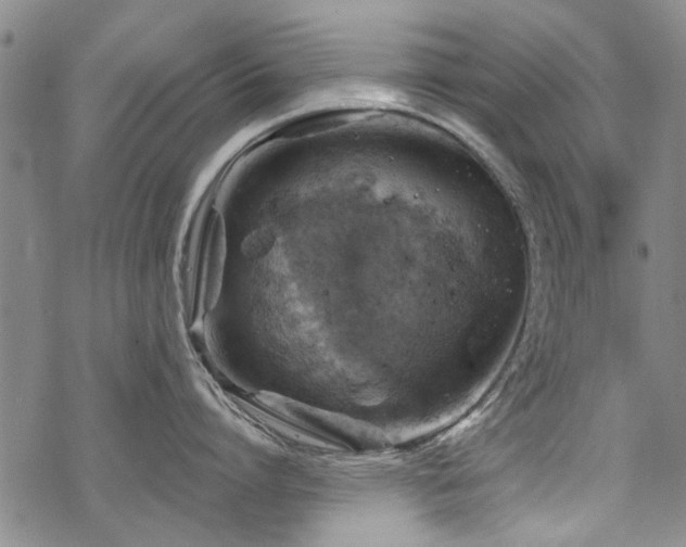 X0000068820864200605051209