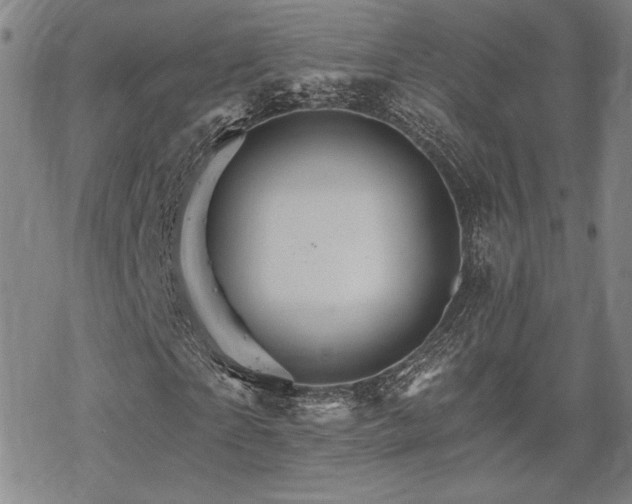 X0000068820865200605051208