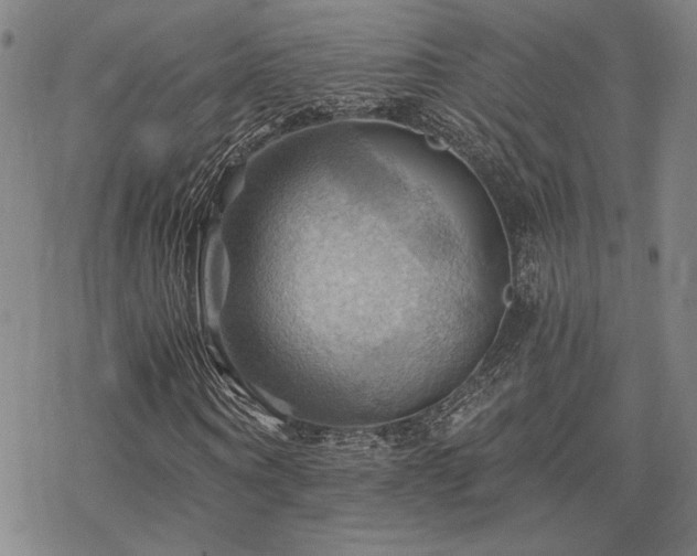 X0000068820866200605051208