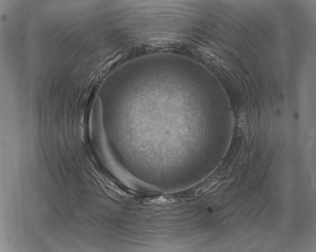 X0000068820868200605051208