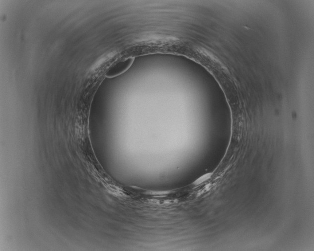 X0000068820869200605051208