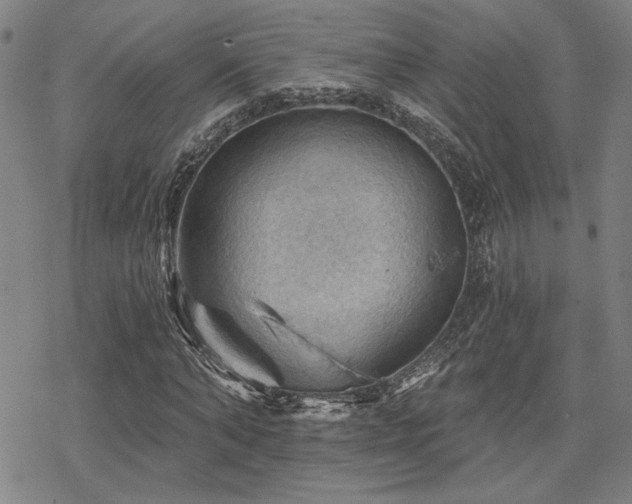 X0000068820870200605051208