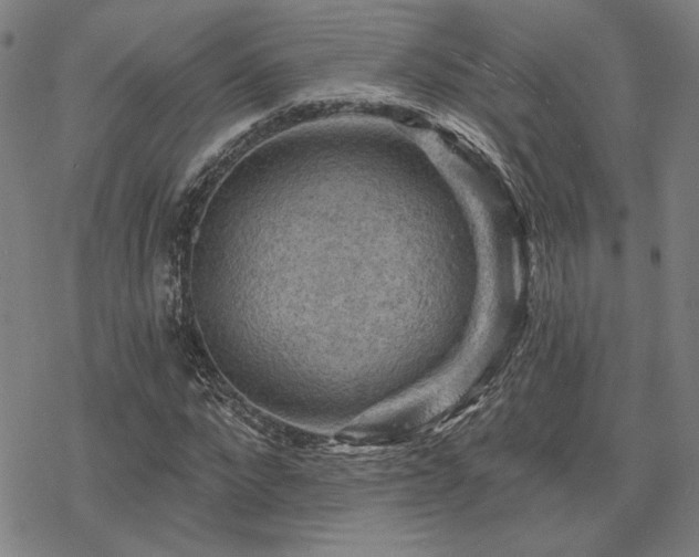 X0000068820872200605051208