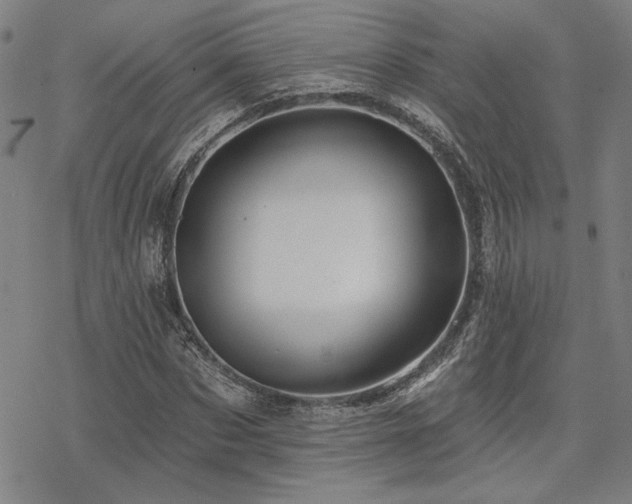 X0000068820873200605051208