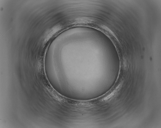 X0000068820874200605051208