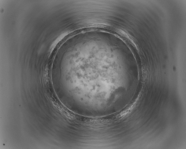 X0000068820875200605051208