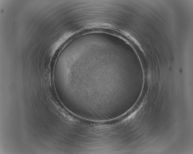 X0000068820877200605051208