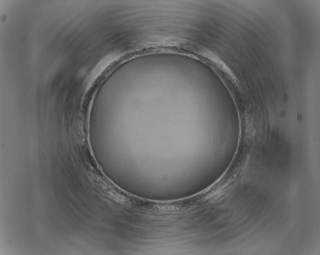 X0000068820878200605051208