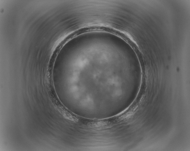 X0000068820879200605051208