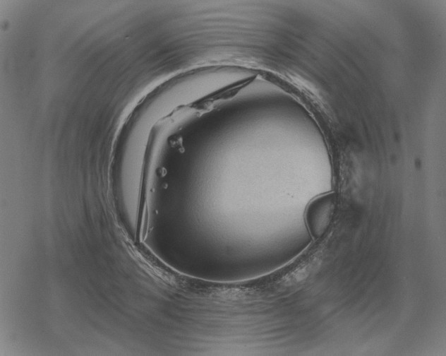 X0000068820880200605051208