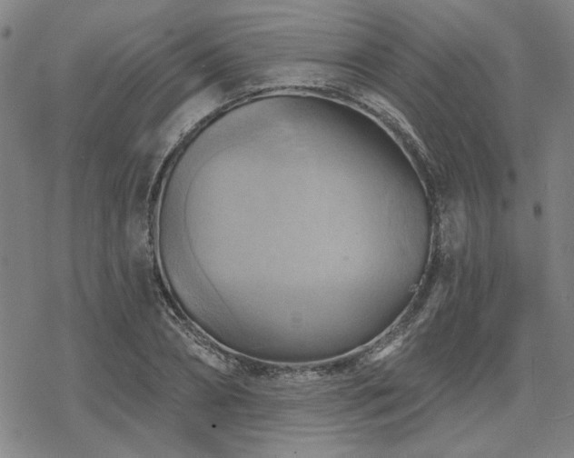 X0000068820882200605051208