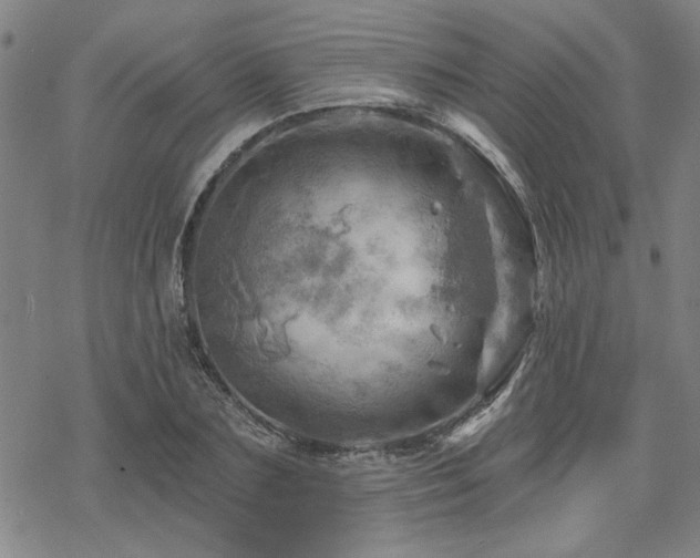 X0000068820883200605051208