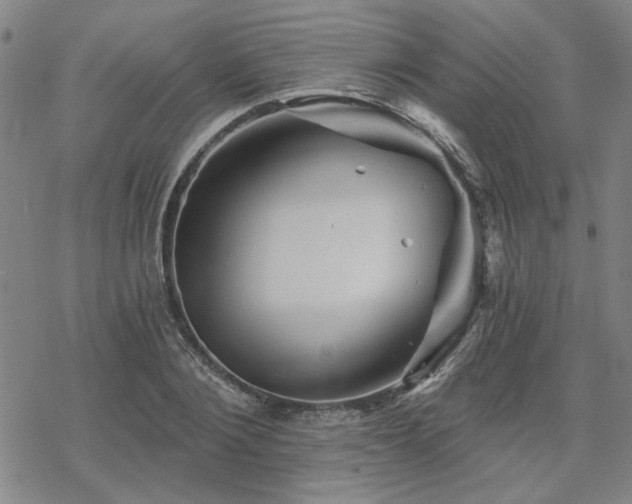 X0000068820884200605051208