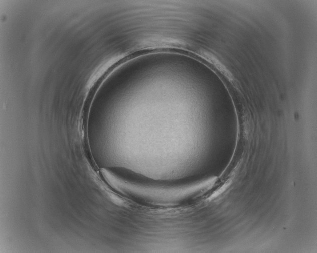 X0000068820885200605051208