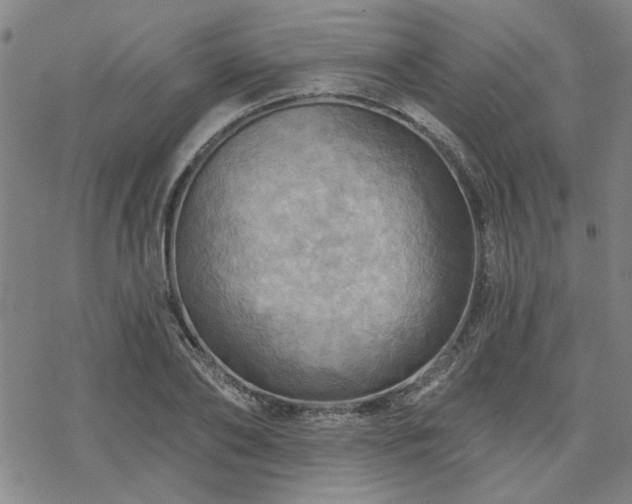 X0000068820886200605051208