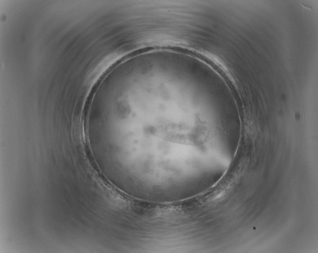 X0000068820887200605051208