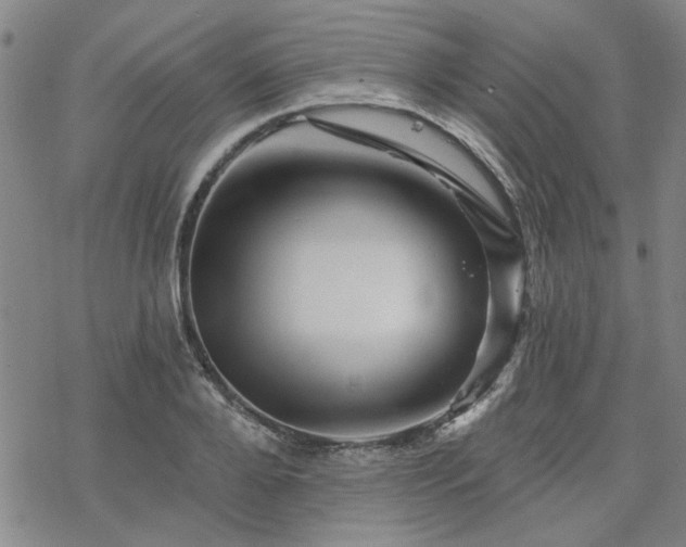 X0000068820888200605051208