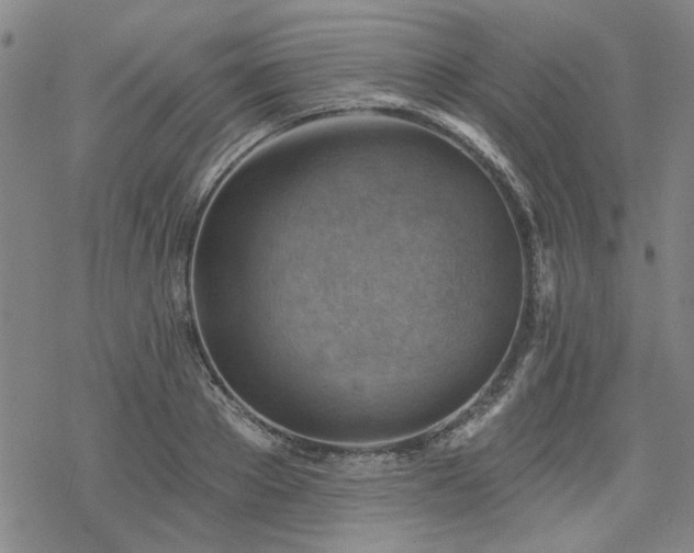 X0000068820889200605051208