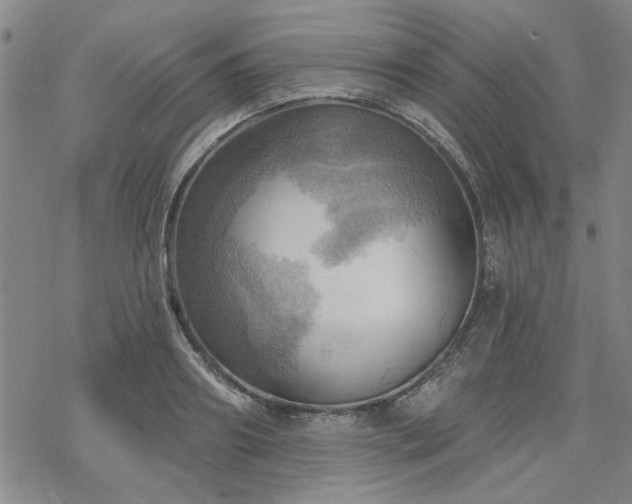 X0000068820890200605051208