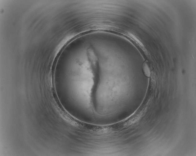 X0000068820891200605051207