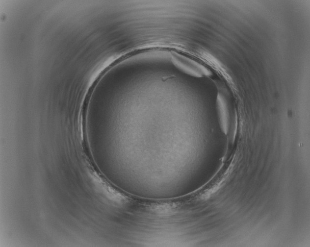 X0000068820892200605051207