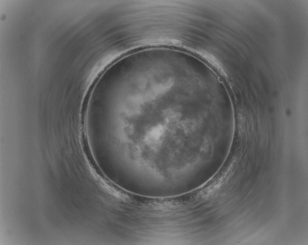 X0000068820895200605051207