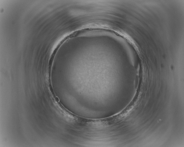 X0000068820896200605051207