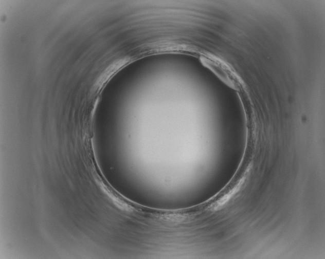 X0000068820897200605051207