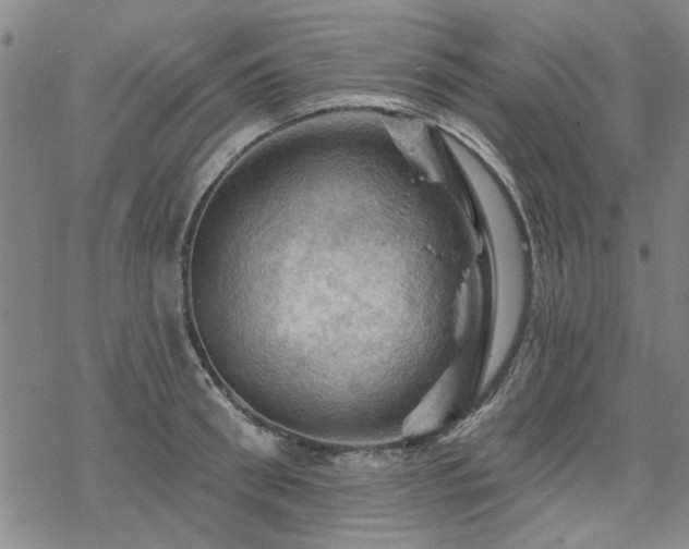 X0000068820898200605051207