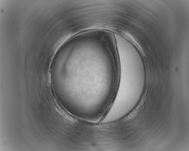 X0000068820900200605051207