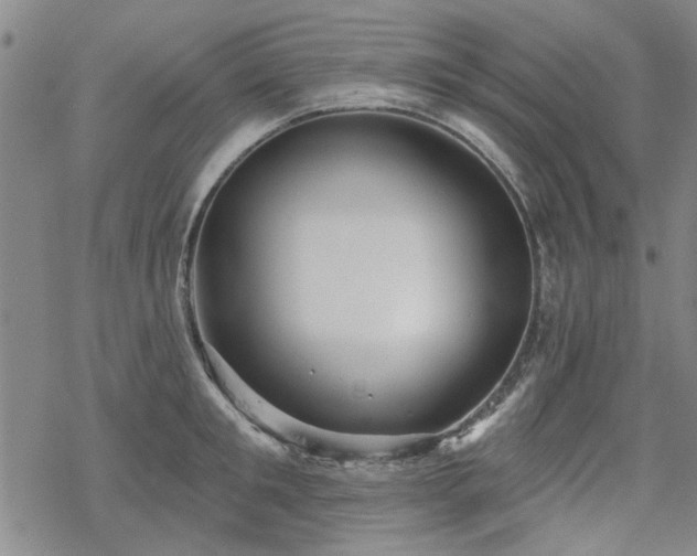 X0000068820901200605051207