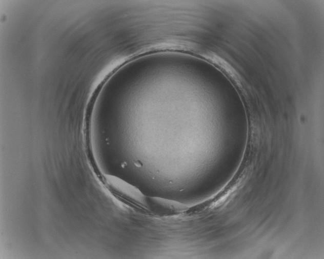 X0000068820902200605051207