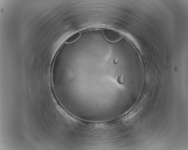 X0000068820903200605051207