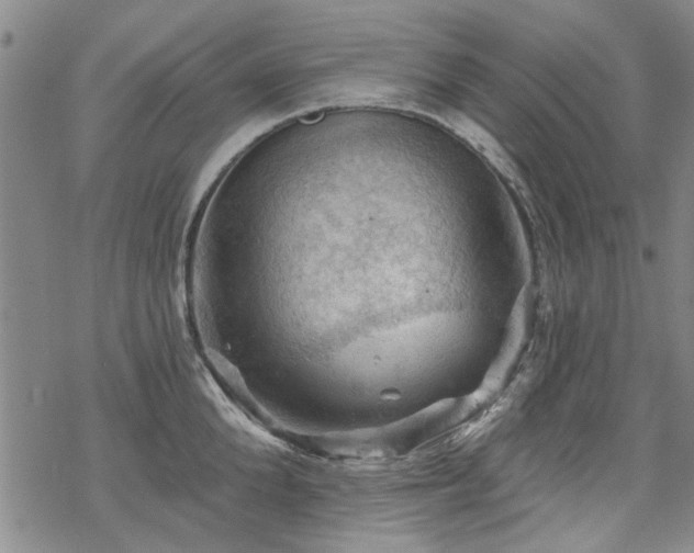 X0000068820904200605051207