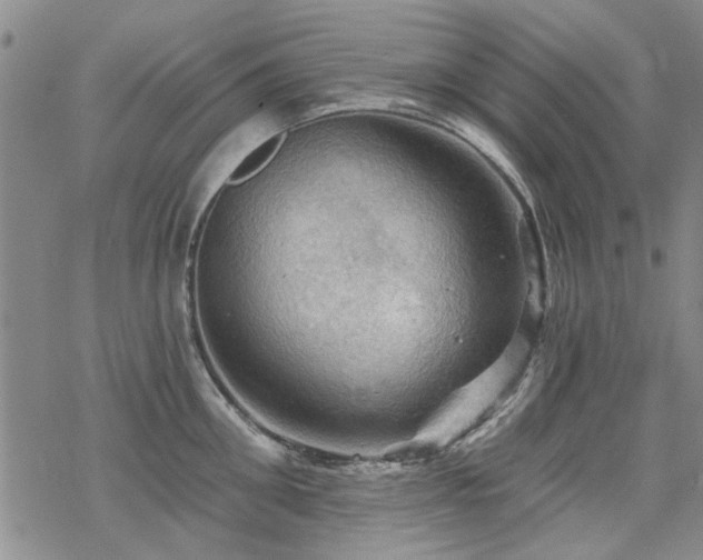 X0000068820906200605051207