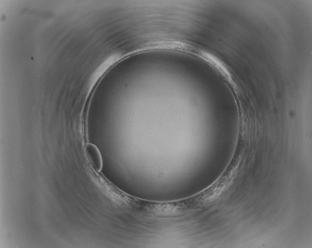 X0000068820907200605051207