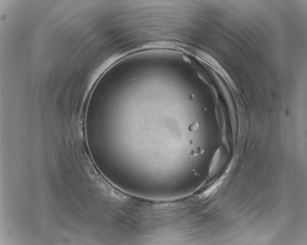 X0000068820908200605051207