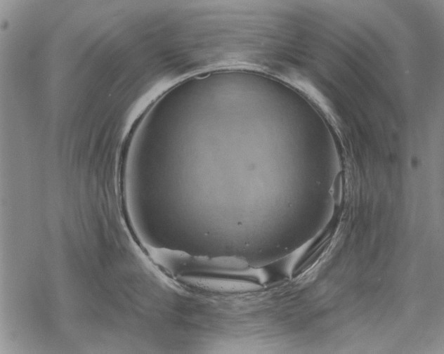 X0000068820910200605051207