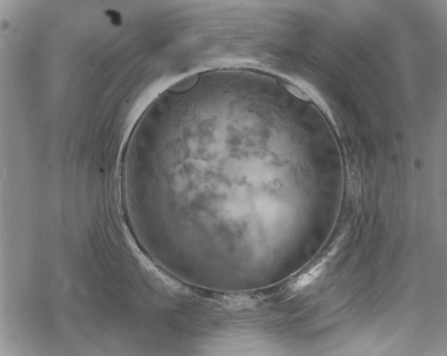 X0000068820911200605051207