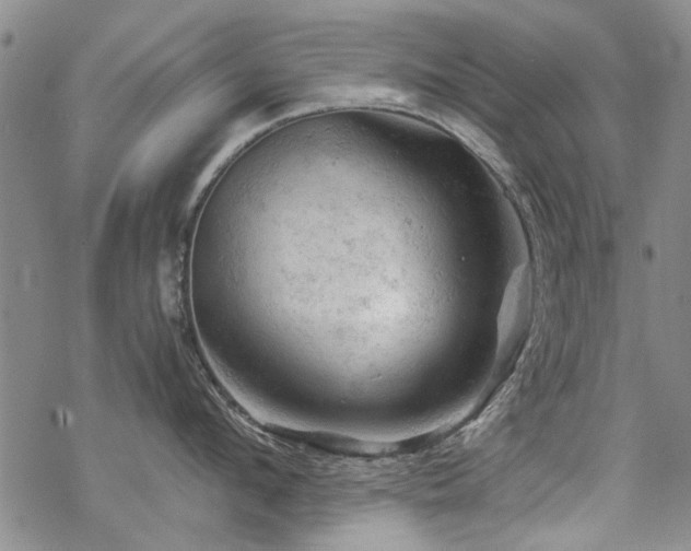 X0000068820912200605051207