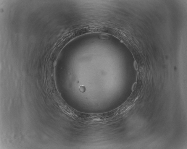 X0000068820913200605051206