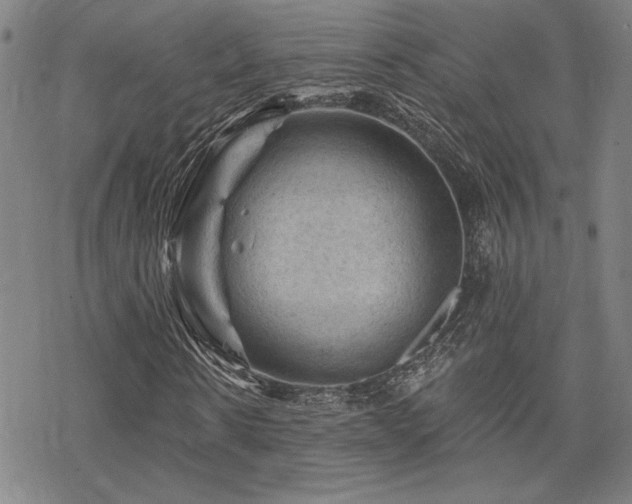 X0000068820914200605051206