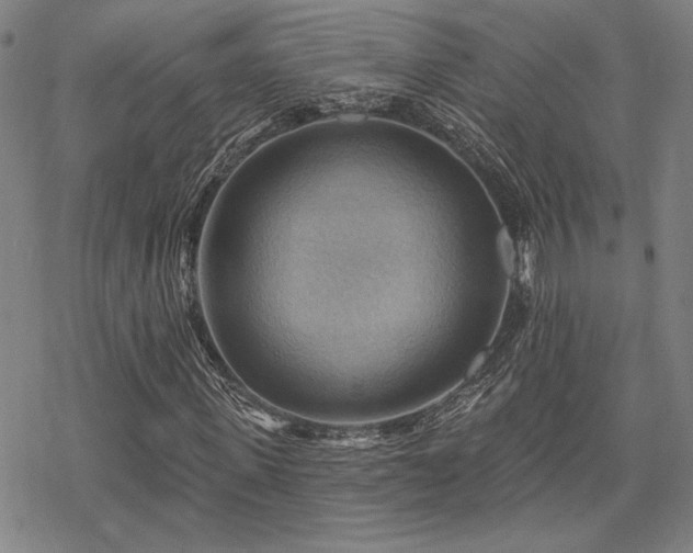 X0000068820915200605051206