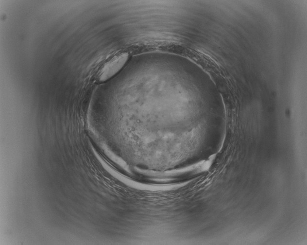 X0000068820917200605051206