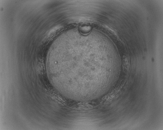 X0000068820918200605051206