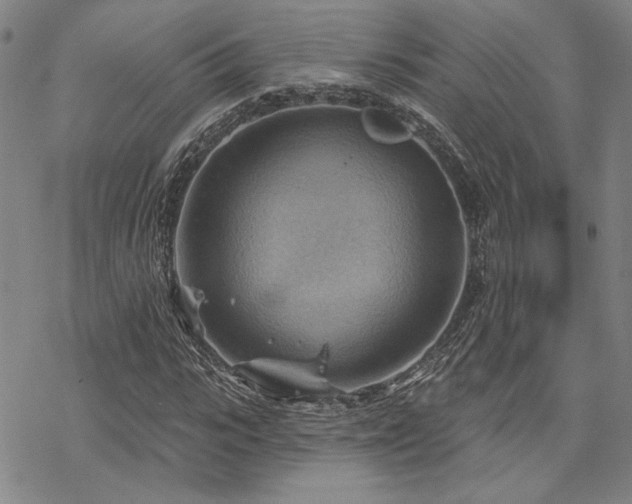 X0000068820919200605051206