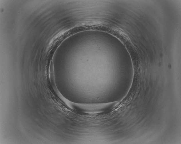 X0000068820920200605051206