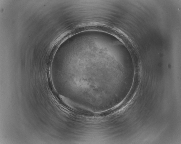 X0000068820921200605051206