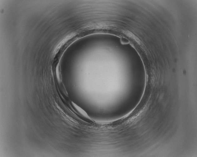 X0000068820922200605051207