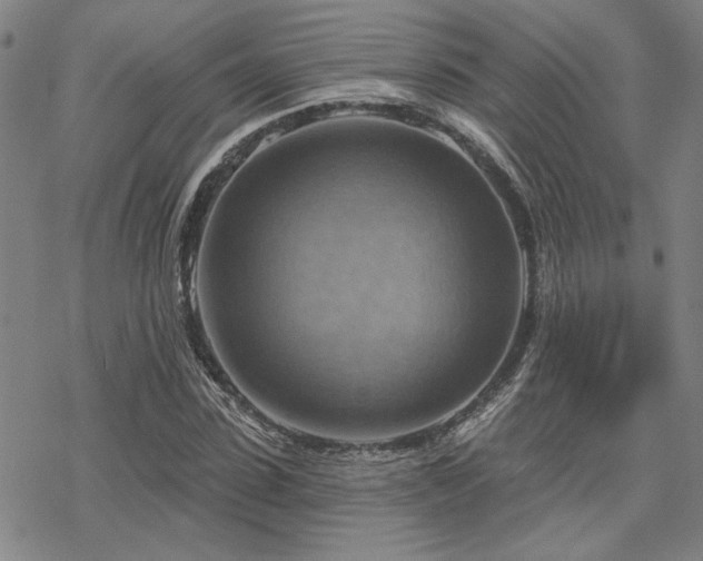 X0000068820923200605051207